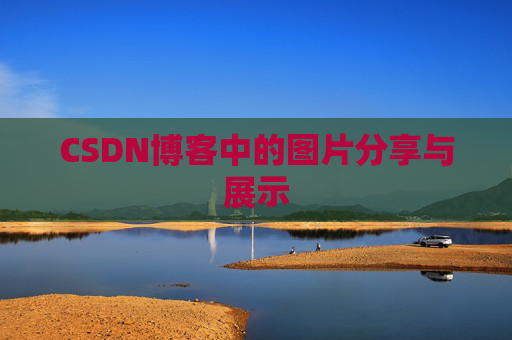 CSDN博客中的图片分享与展示